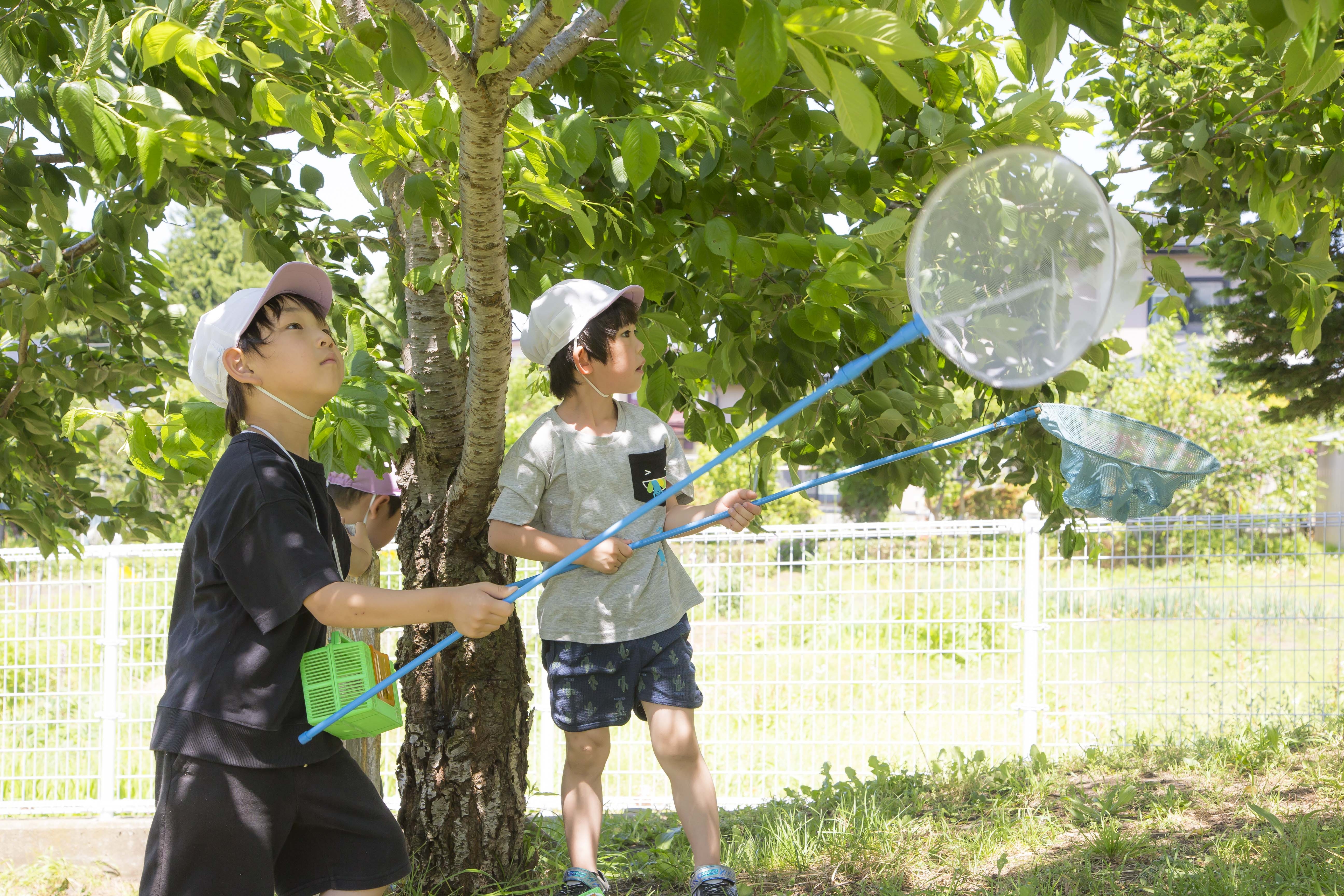 すみれ幼稚園の様子1